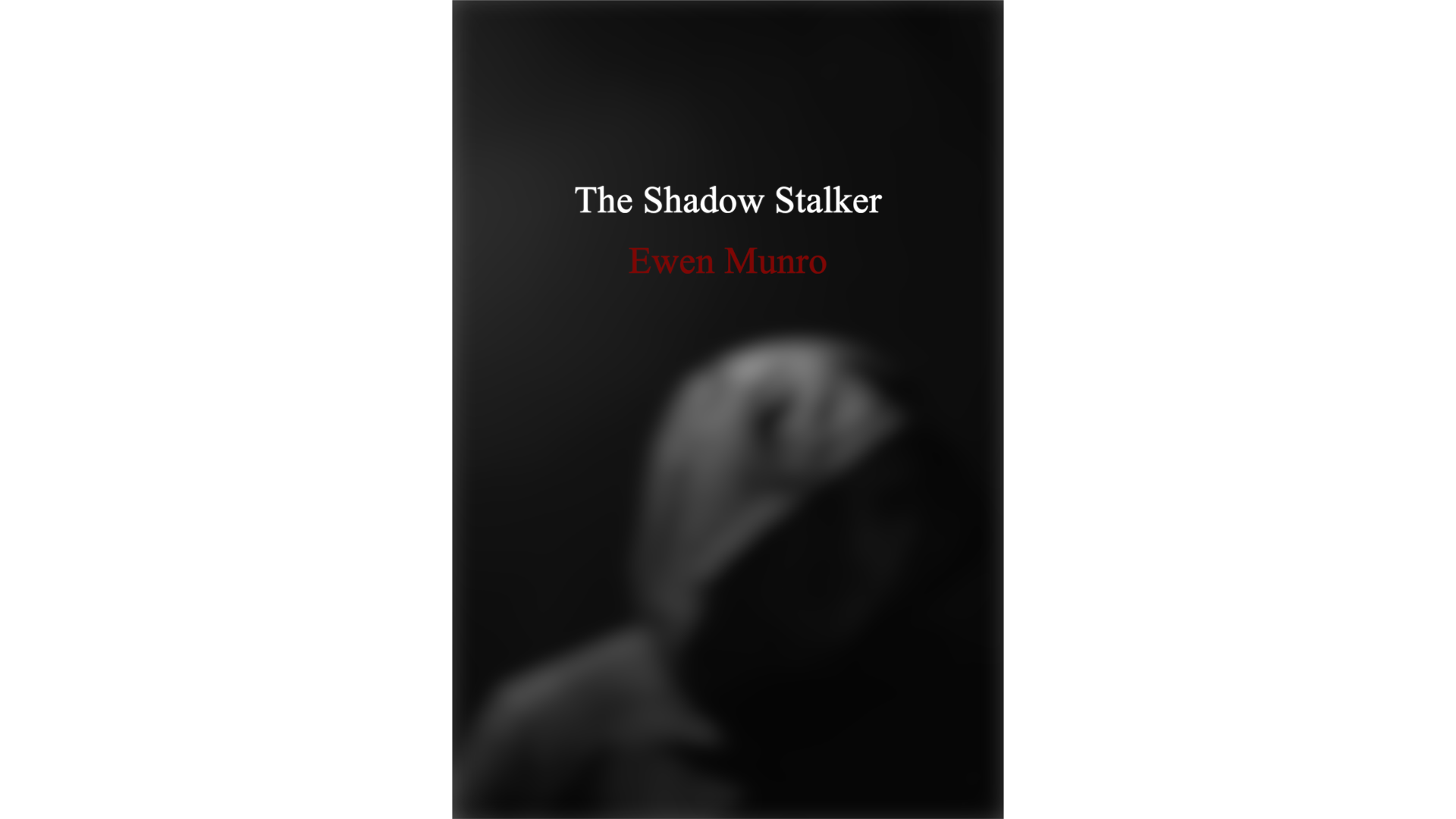 The Shadow Stalker book cover